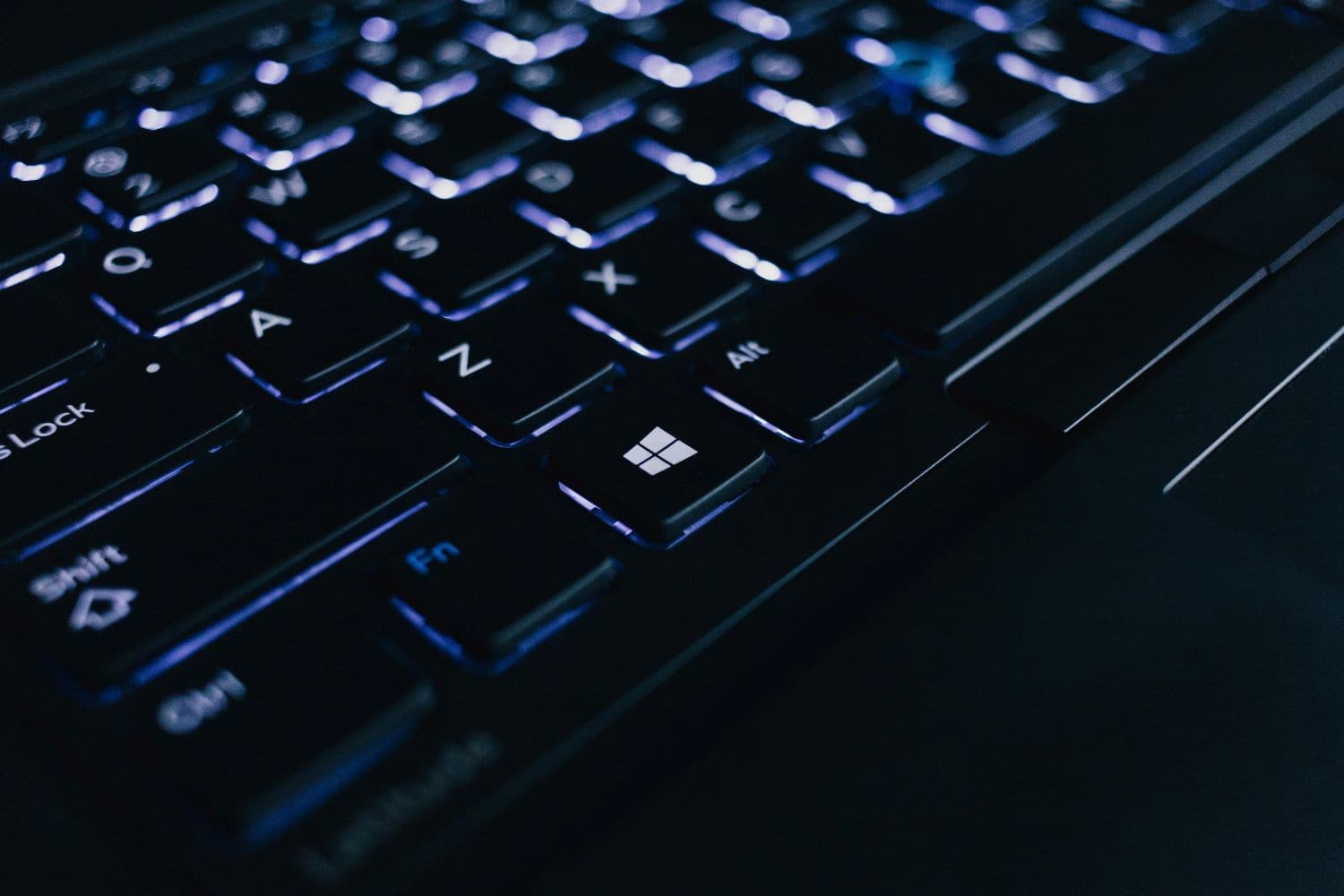 pexels-freestocks-1122528_20250723164912883.jpg